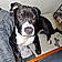Arko