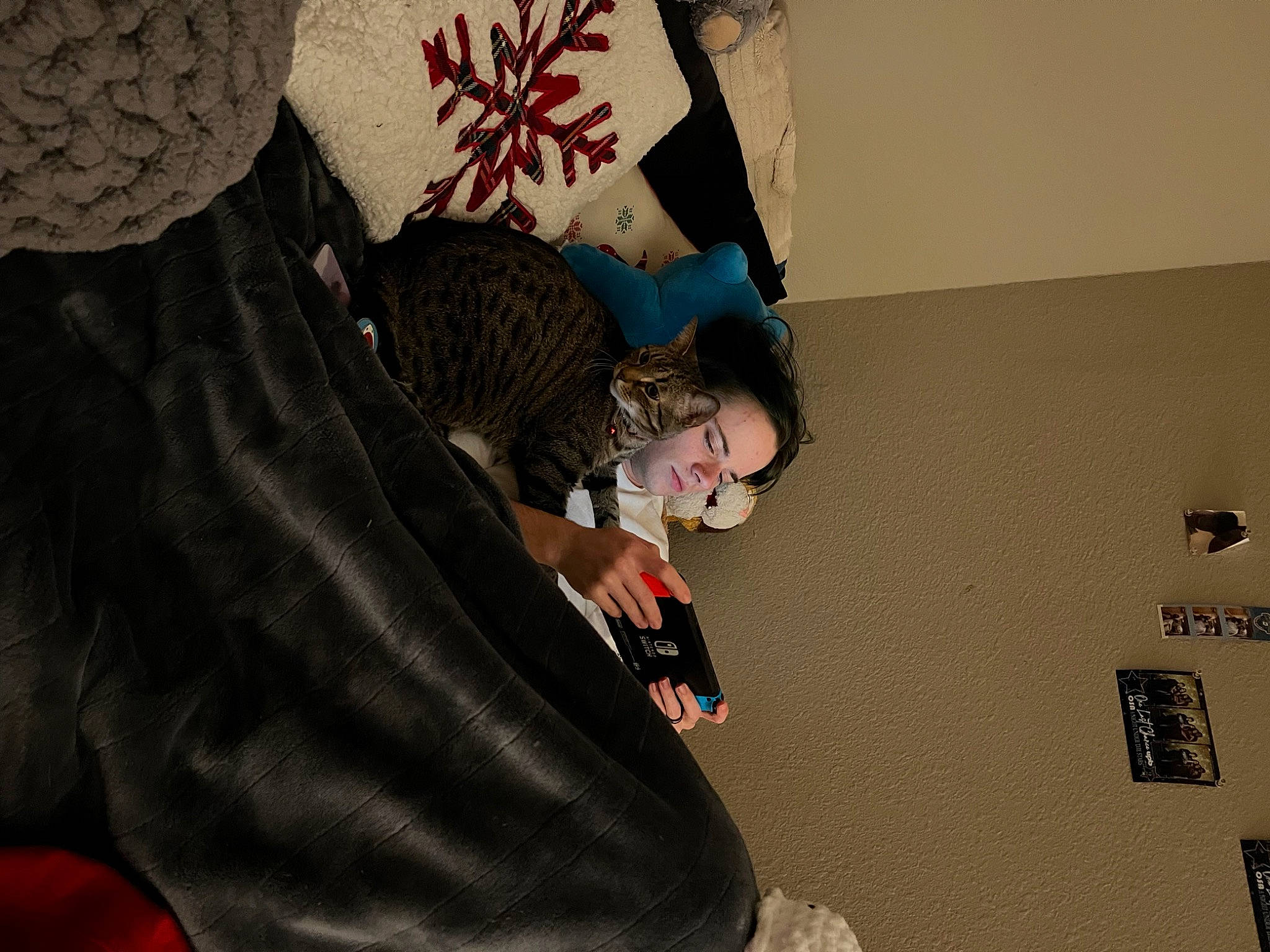 Gabe joined the competition — help win amazing prizes! comfort, event, flooring, font, fun, fur, magenta, pattern, room, sitting, visual_arts