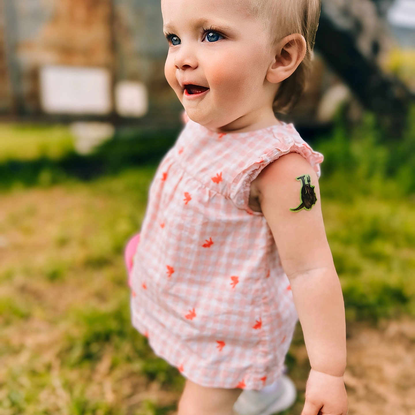 Adelynn is registered to the contest to win money with this photo: baby, blonde, bodypart, clothing, dress, face, finger, grass, hair, hand, happy, head, person, photography, plant, portrait, sitting, skin, sleeve, smile
