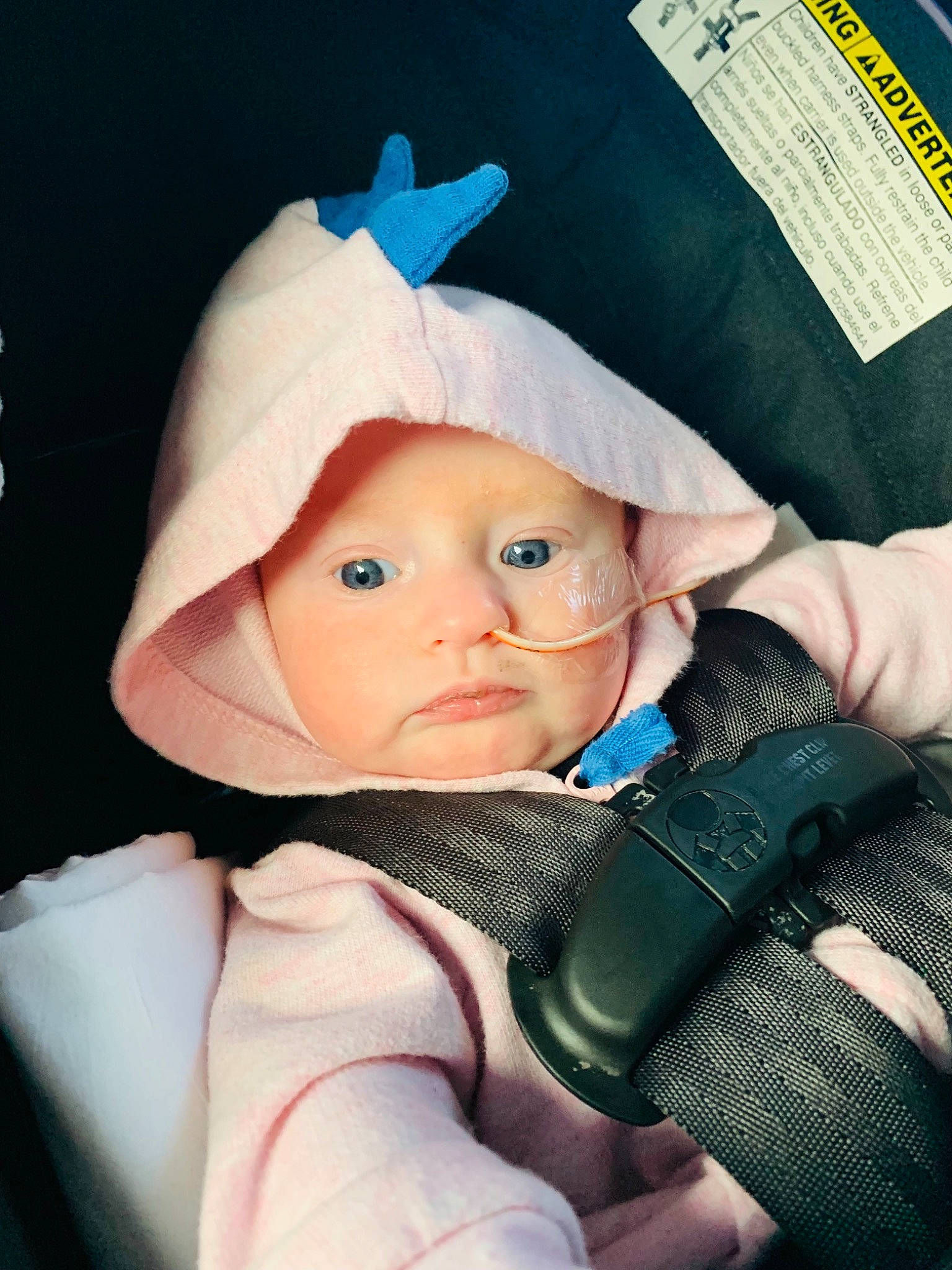 Everlee joined the competition — help win amazing prizes! baby, baby_products, baby_safety, baby_toddler_clothing, cap, cheek, child, comfort, cool, costume_hat, electric_blue, fashion_accessory, happy, headgear, headwear, knit_cap, outerwear, person, skin, sleeve