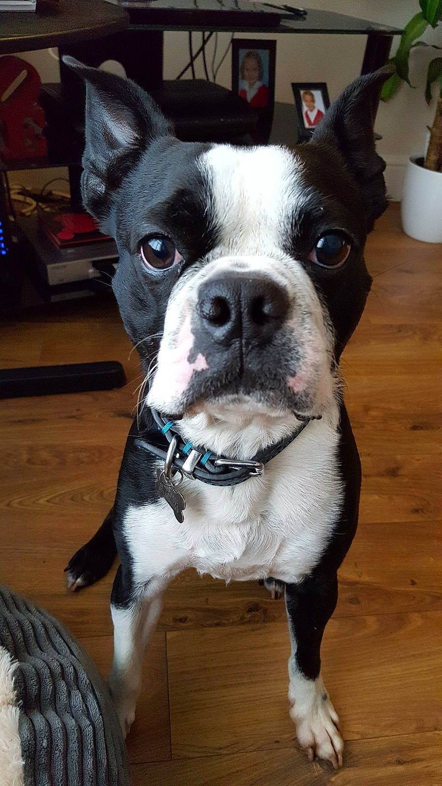 Batman joined the competition — help win amazing prizes!