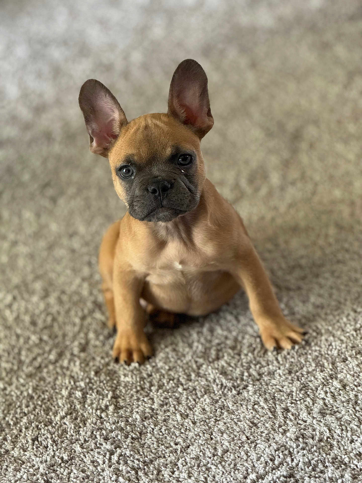 Dexter