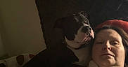 Bill is registered to the contest to win money with this photo: animal, black_and_white_dog, brown_and_white_dog, casual, comfort, companion, couch, cozy, dim_lighting, dog, face, furniture, home, indoor, pet, portrait, relaxing, resting, snuggling, woman