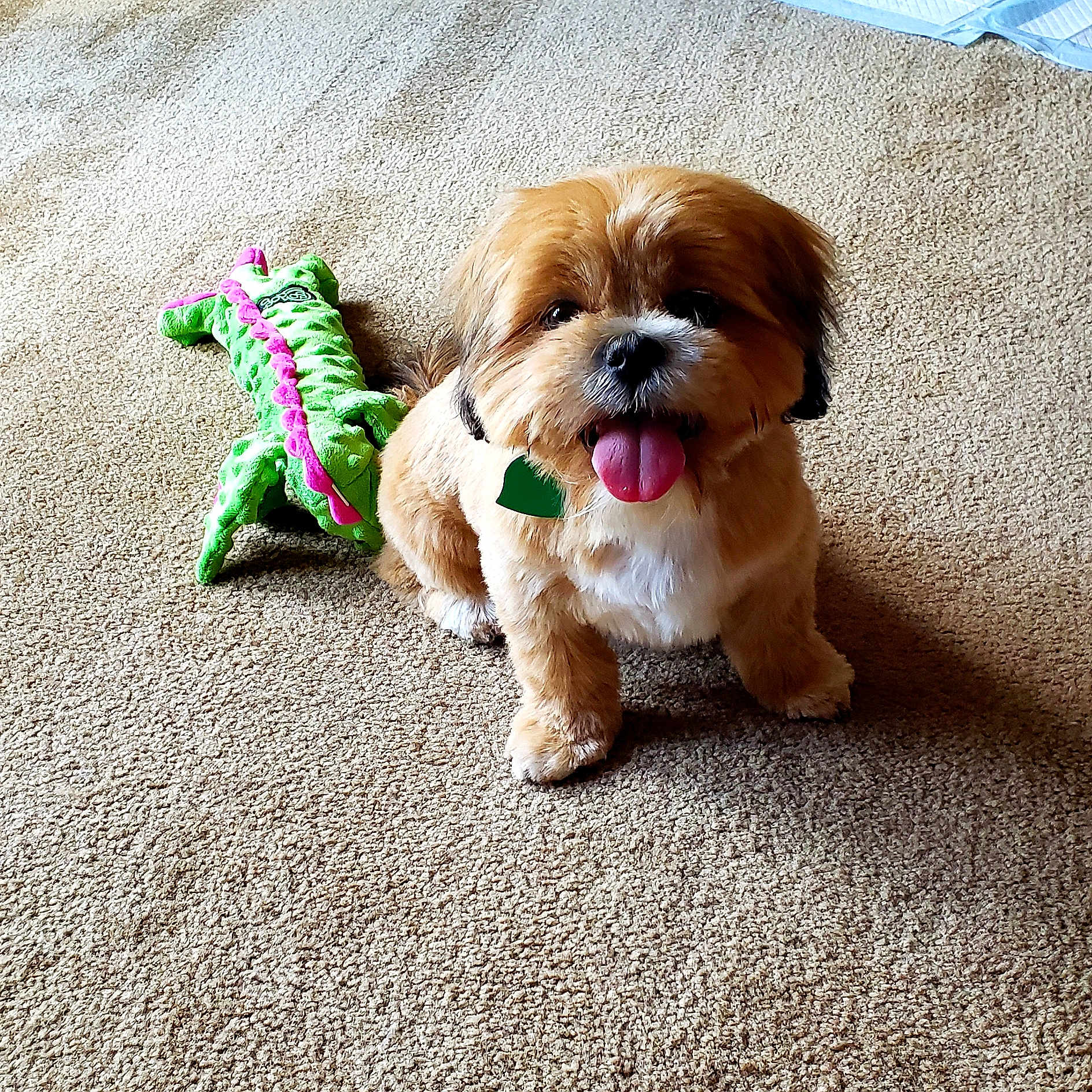 Wilbur
