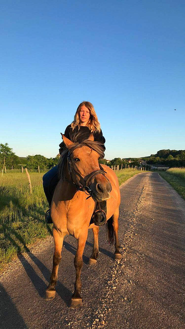 Orphée a rejoint le concours — aidez-le/la à gagner de superbes lots ! animal_sports, bridle, ecoregion, equestrian_sport, equestrianism, grassland, horse, landscape, mare, mustang_horse, photography, ranch, recreation, rein, road, sky, stallion, steppe, trail_riding, working_animal