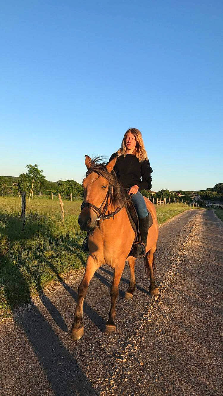 Orphée participe au concours pour gagner de l'argent avec cette photo : animal_sports, bridle, ecoregion, endurance_riding, equestrian_sport, equestrianism, horse, horse_supplies, mare, outdoor_recreation, pack_animal, ranch, recreation, rein, rural_area, sky, stallion, steppe, trail_riding, working_animal