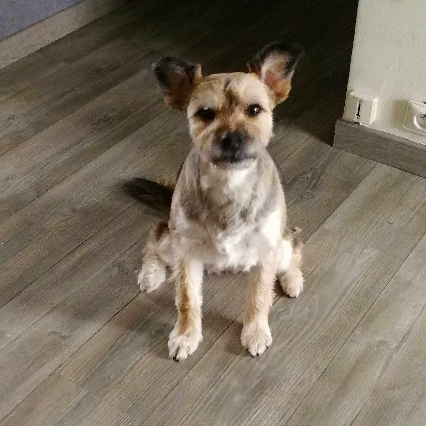 Lucie