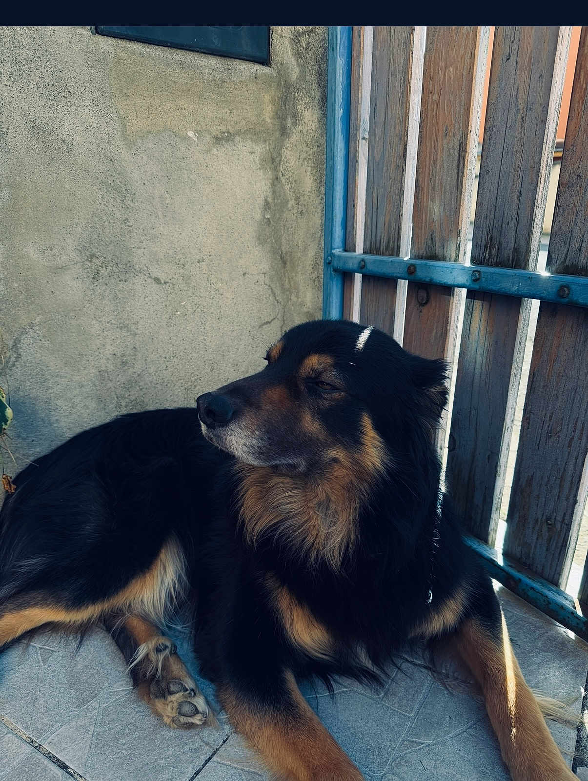 Balto