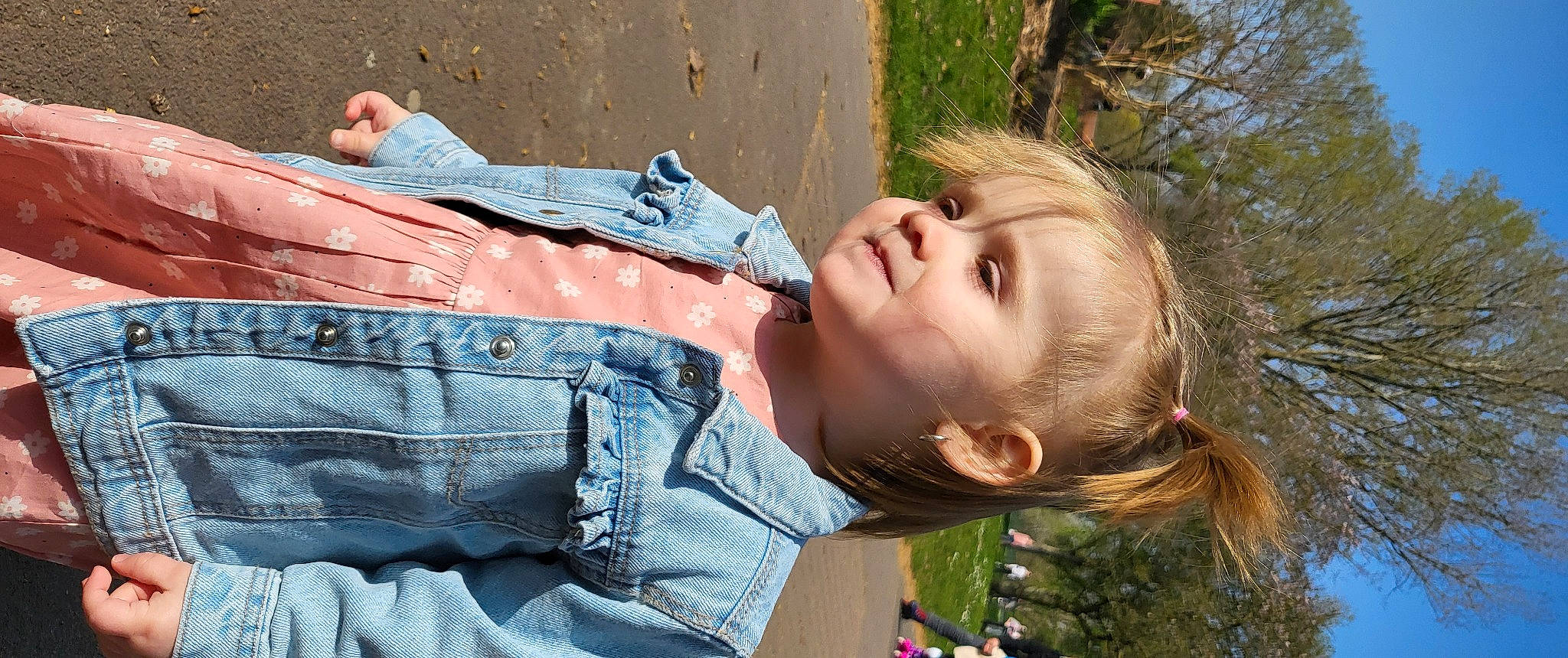 Jade participe au concours pour gagner de l'argent avec cette photo : abdomen, beauty, child, denim, fun, grass, happy, jeans, joint, leisure, lip, pattern, people_in_nature, person, plant, sitting, skin, t_shirt, toddler, tree