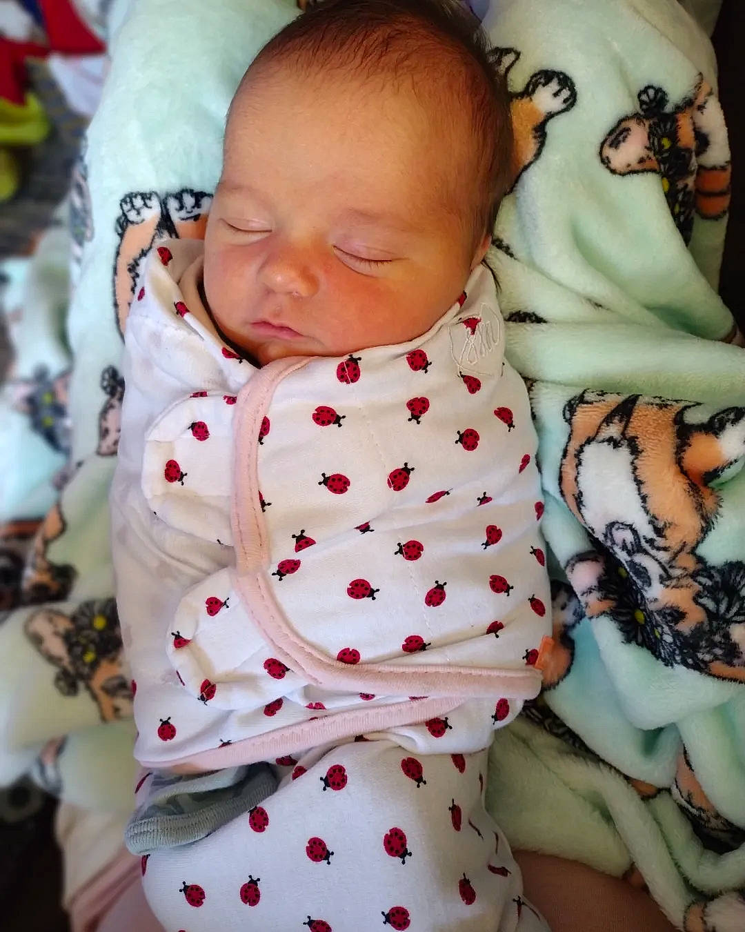 Korra is registered to the contest to win money with this photo: baby, baby_products, baby_sleeping, baby_toddler_clothing, cheek, child, collar, comfort, event, happy, linens, pattern, person, plaid, skin, sleeve, textile, toddler, white