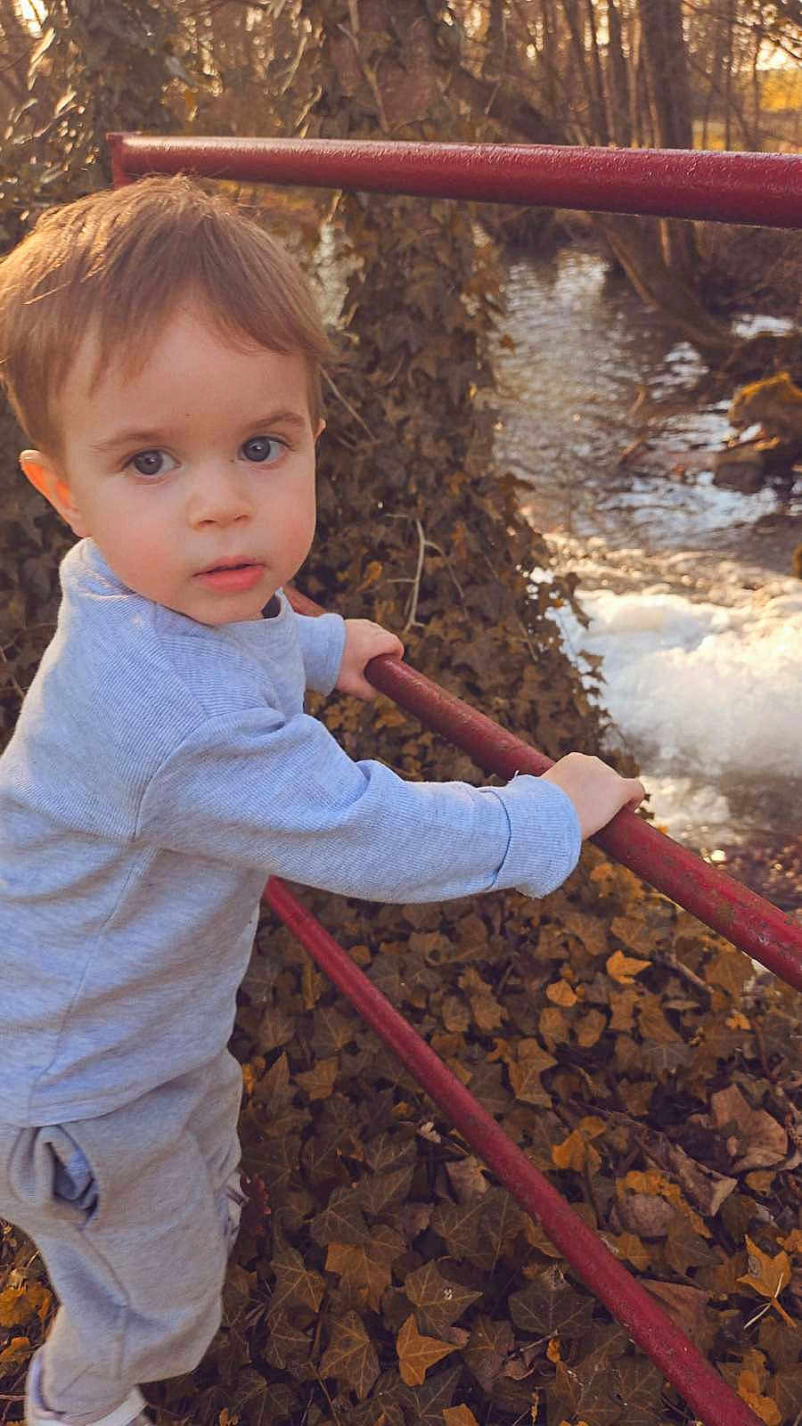 Elyas participe au concours pour gagner de l'argent avec cette photo : autumn_leaves, brown_hair, child, curious_expression, eyes, face, gray_sweater, ground, hand, ivy, outdoor, pants, person, portrait, red_rail, stream, toddler, trees, water, white_shoes