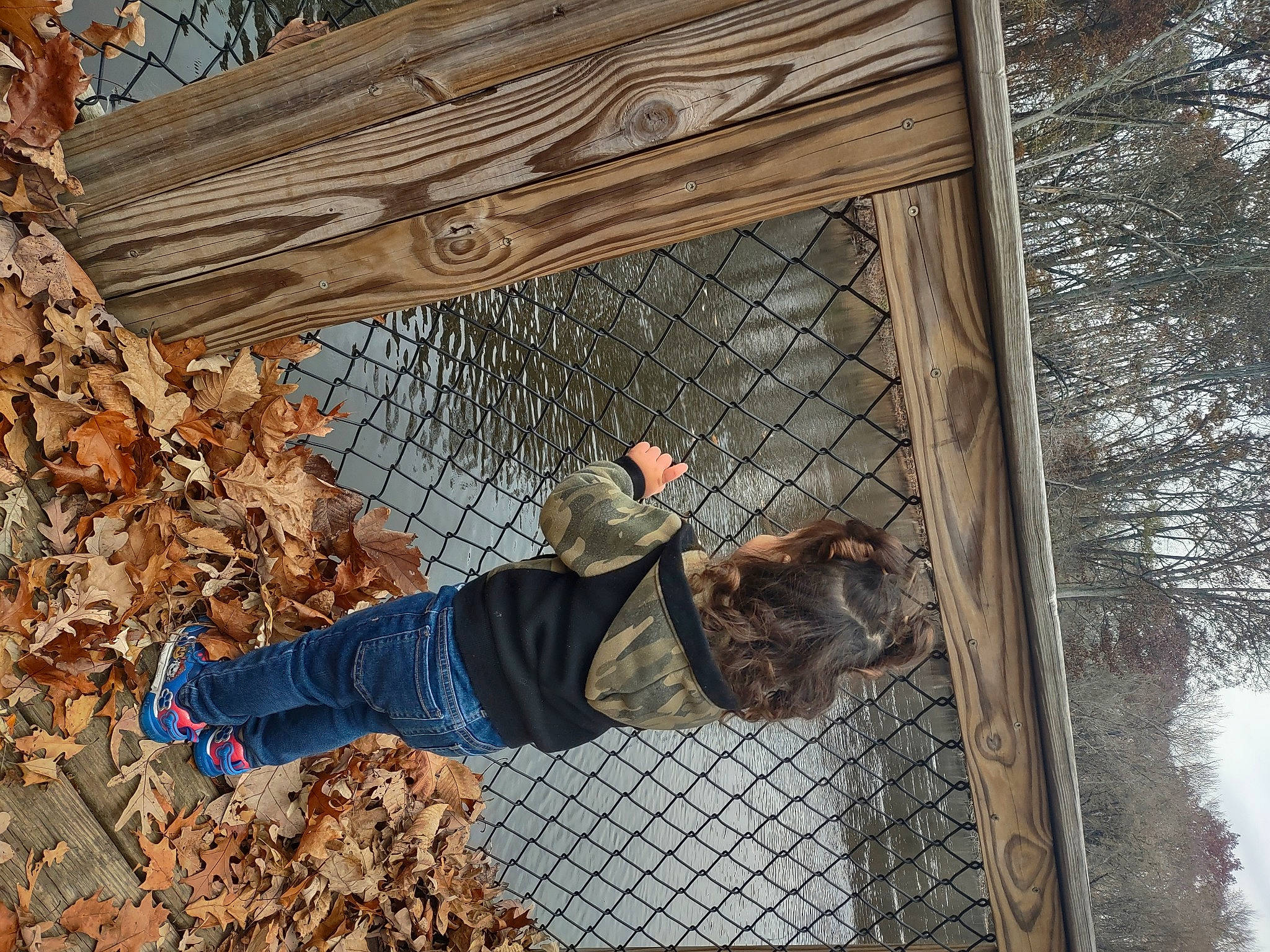 Dianne joined the competition — help win amazing prizes! leisure, mesh, person, recreation, tree, trunk, twig, walking_shoe, window, winter, wood