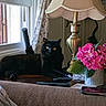 cat, black_cat, pet, animal, feline, golden_eyes, sitting, indoors, living_room, lamp, flowers, pink_flowers, vase, window, curtains, couch, furniture, remote_control, portrait, home_decor