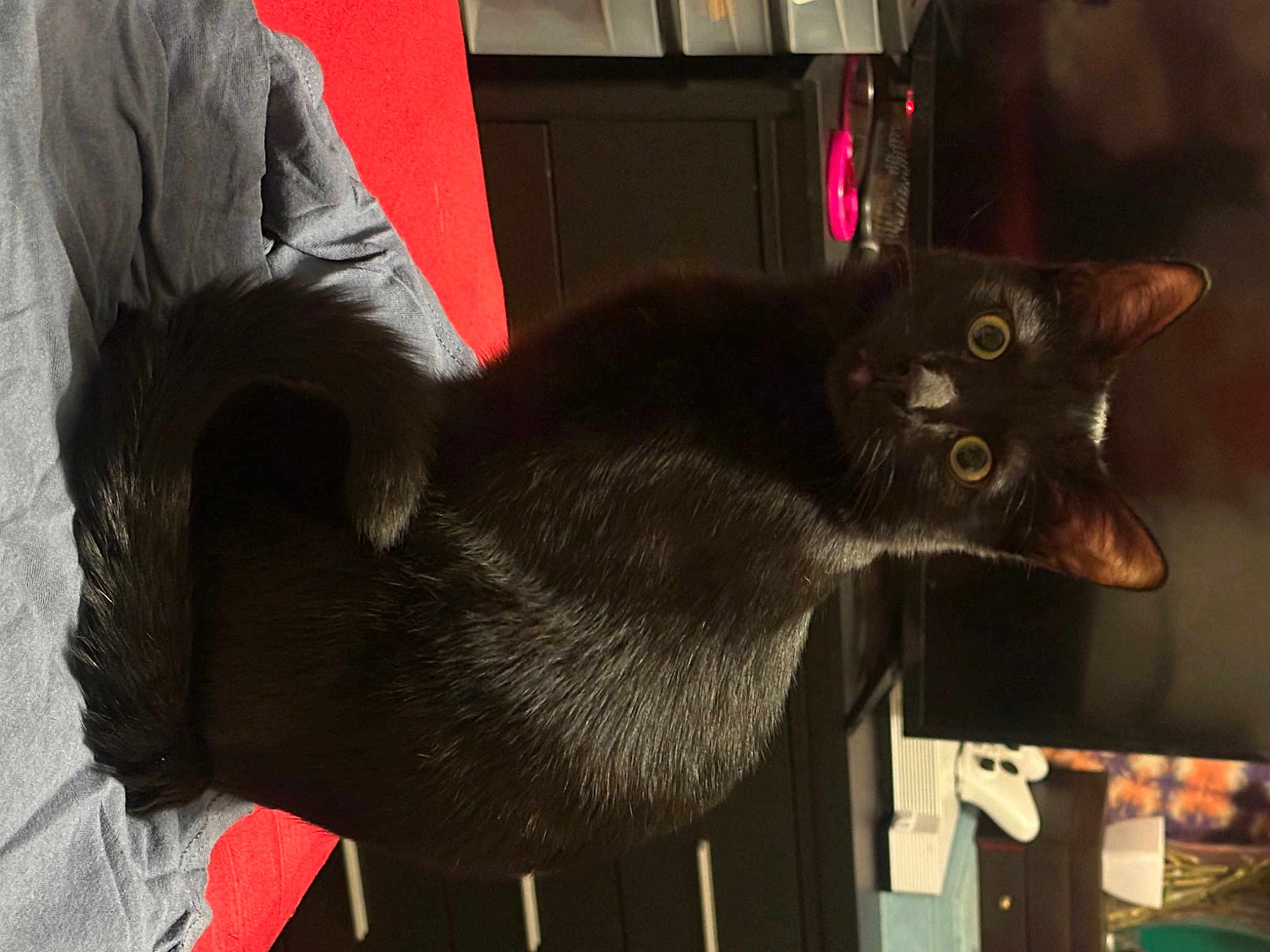 Onyx