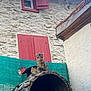 cat, tabby_cat, stone_wall, red_shutters, courtyard, outdoor, rustic, oven, grill, green_mesh, fence, building, window, pet, animal, curious, sitting, daylight, texture, architecture
