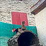 Arlo participe au concours pour gagner de l'argent avec cette photo : cat, kitten, stone_wall, red_shutters, outdoor_oven, rustic, fence, curious, perched, building, window, animal, pet, texture, quiet, daylight, nature, small, domestic_cat, outdoor