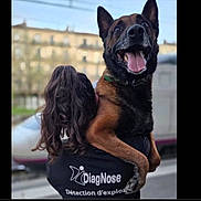 Meiko participe au concours pour gagner de l'argent avec cette photo : animal, back_view, black_shirt, building, collar, daylight, dog, german_shepherd, happy, holding, joyful, long_hair, mammal, outdoor, person, pet, tongue_out, train, transport, urban
