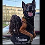 animal, back_view, black_shirt, building, collar, daylight, dog, german_shepherd, happy, holding, joyful, long_hair, mammal, outdoor, person, pet, tongue_out, train, transport, urban