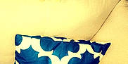 Leo is registered to the contest to win money with this photo: animal, black_pillow, cat, couch, cozy, cream_couch, curtains, domestic_cat, furniture, home, indoor, nap, orange_cat, patterned_pillow, pet, pillows, relaxed, resting, sleeping, soft_lighting