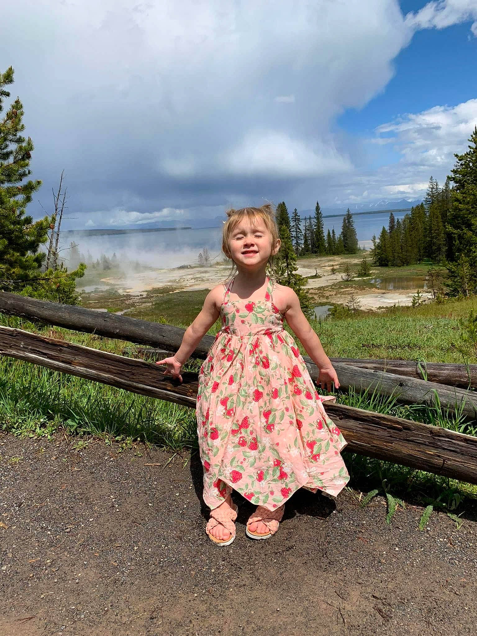 Haisley joined the competition — help win amazing prizes! blond, brown_hair, cloud, day_dress, dress, flash_photography, fun, grass, grassland, happy, joy, landscape, leisure, one_piece_garment, pattern, people_in_nature, person, plant, sky, toddler