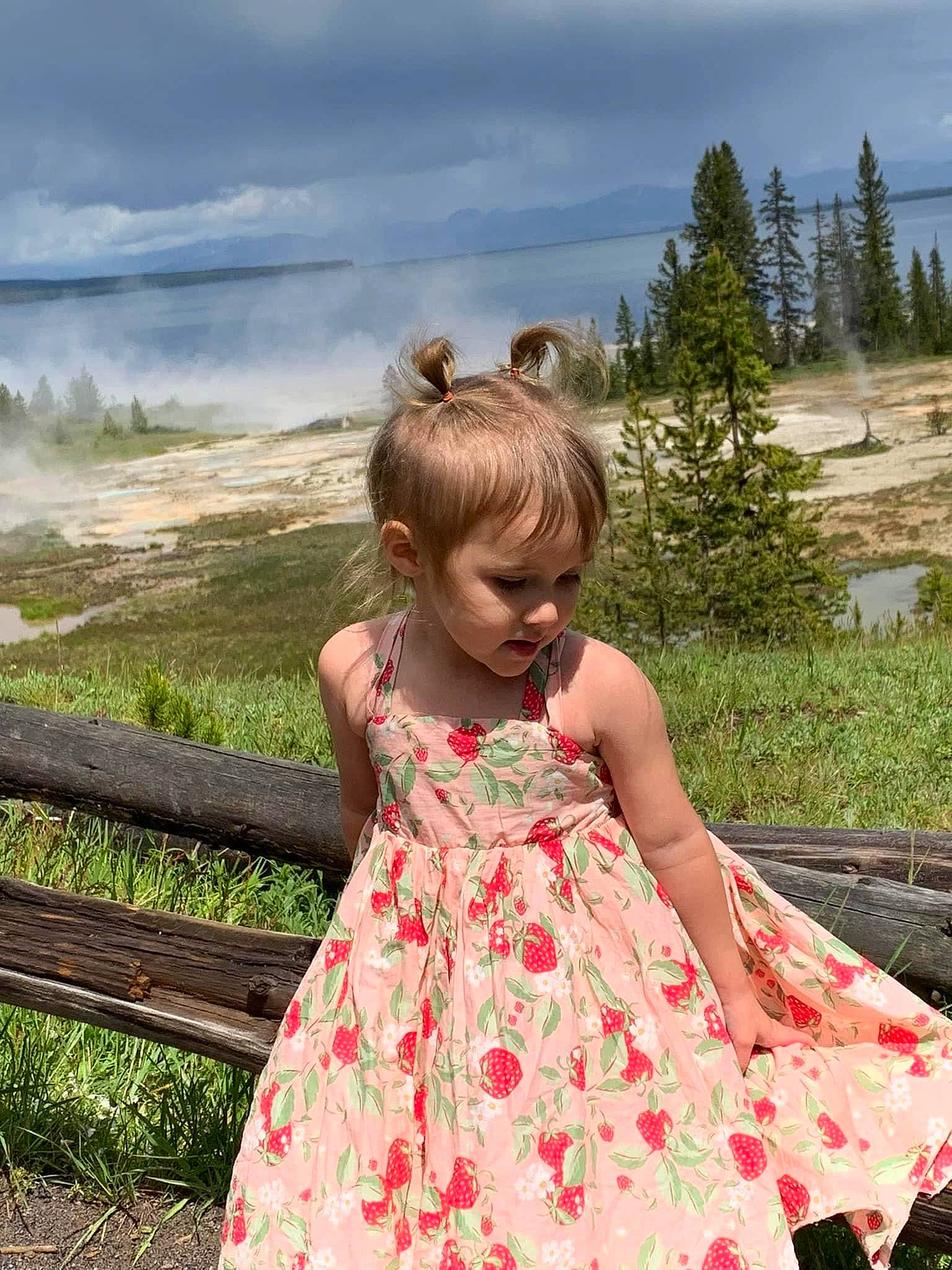 Haisley joined the competition — help win amazing prizes! baby_toddler_clothing, cloud, day_dress, dress, fence, fun, grass, grassland, hair, hairstyle, happy, meadow, one_piece_garment, pattern, people_in_nature, person, plant, sky, summer, toddler