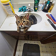 Mallie is registered to the contest to win money with this photo: cat, tabby_cat, sink, bathroom, countertop, toiletries, comb, brush, mat, foot, wood_cabinet, tile_floor, feline, pet, domestic_animal, relaxing, claw, paw, curious, indoor