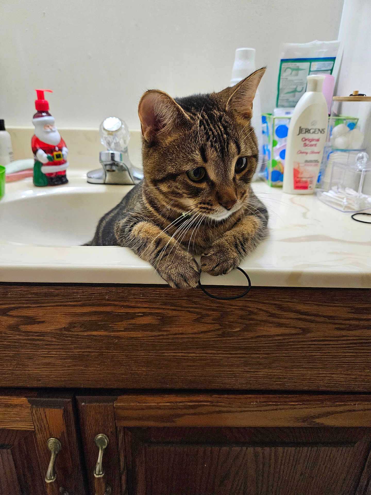 Mally is registered to the contest to win money with this photo: cat, tabby_cat, bathroom, sink, countertop, faucet, soap_dispenser, lotion_bottle, hair_tie, wooden_cabinet, domestic, pet, curious, whiskers, paws, indoor, household_items, cute, animal, relaxed