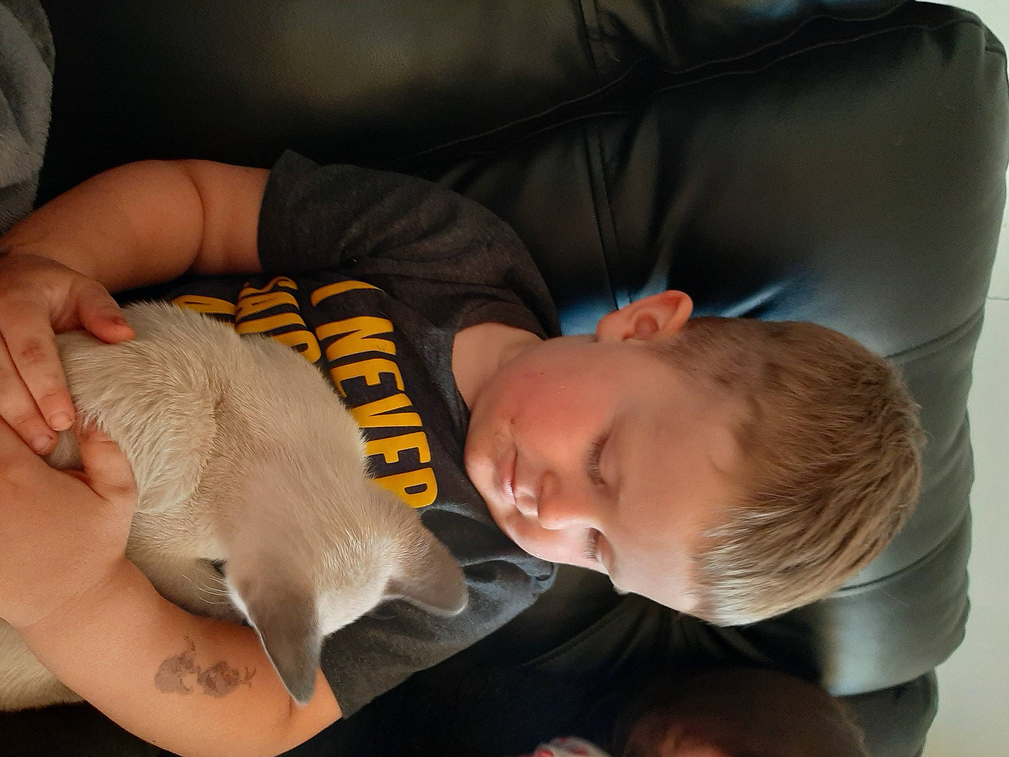 Alexis a rejoint le concours — aidez-le/la à gagner de superbes lots ! baby, baby_products, baby_toddler_clothing, child, comfort, finger, hand, mouth, nail, nap, nose, person, personal_protective_equipment, reptile, room, sitting, stuffed_toy, thumb, toddler, wrist