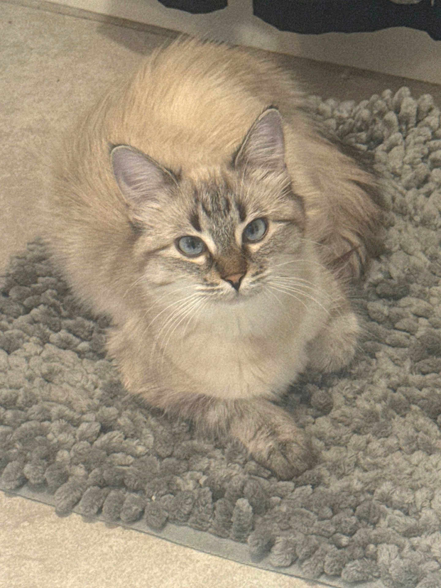 Luna
