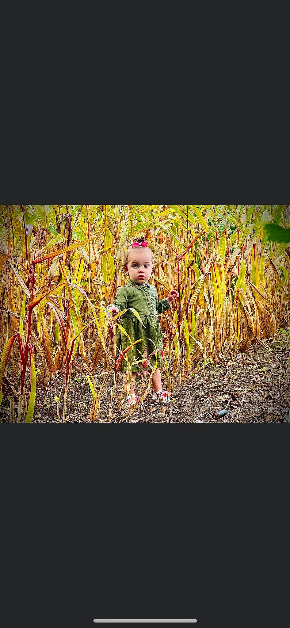 Gianna joined the competition — help win amazing prizes! adaptation, art, child, darkness, flash_photography, fun, grass, grass_family, happy, landscape, magenta, natural_landscape, pattern, people_in_nature, person, plant, soil, surprise, terrestrial_plant, tints_and_shades