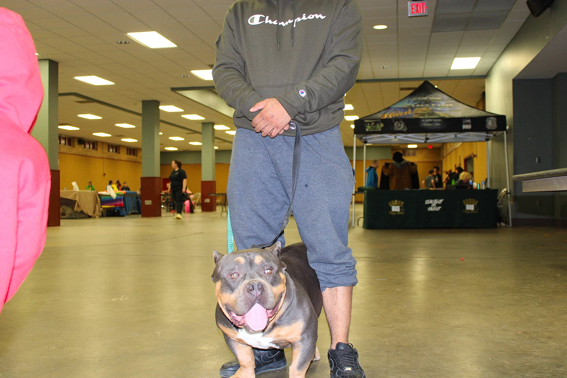 D-boy joined the competition — help win amazing prizes! boot, canidae, carnivore, companion_dog, conformation_show, dog, dog_breed, event, floor, flooring, fun, fur, guard_dog, physical_fitness, shoe, shorts, sneakers, snout, sporting_group, standing