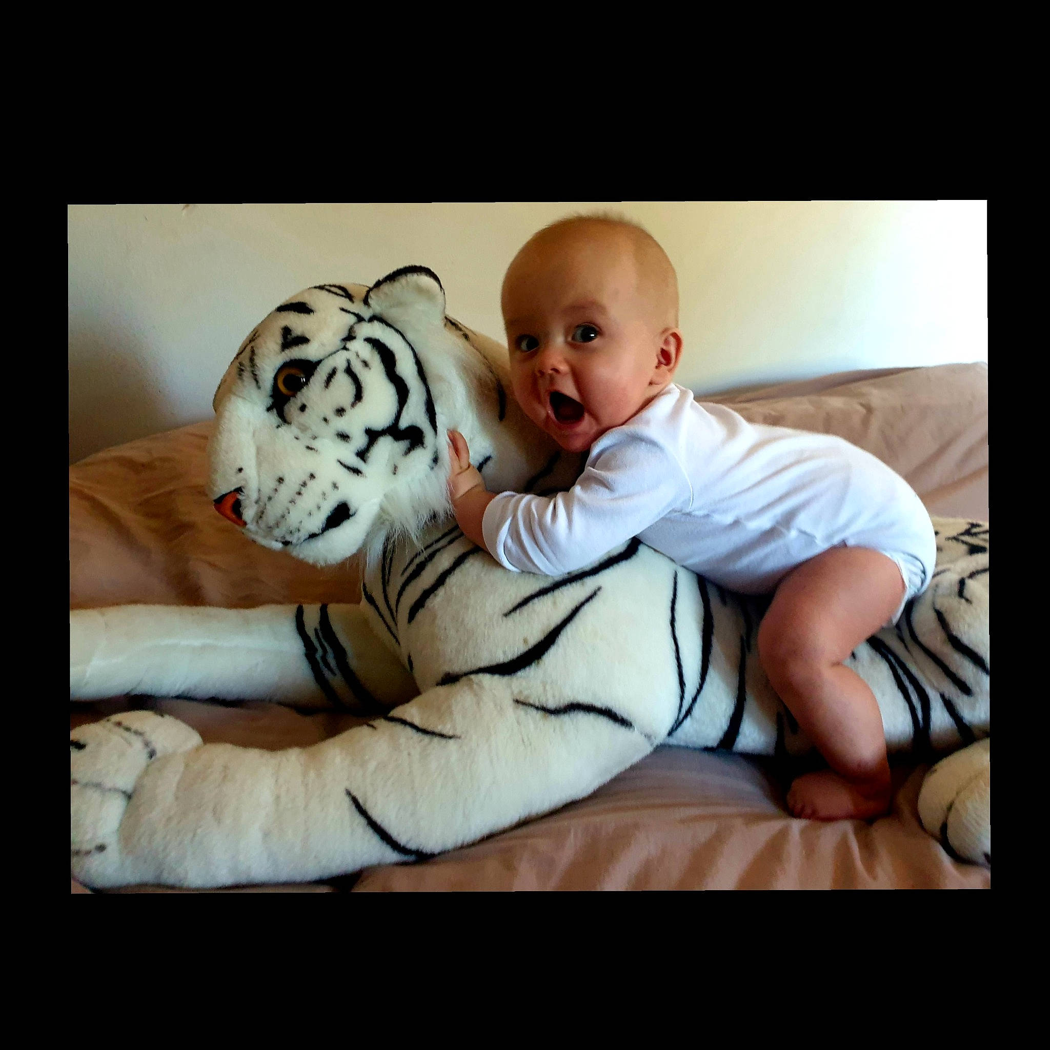 Tayler a rejoint le concours — aidez-le/la à gagner de superbes lots ! baby, baby_toddler_clothing, bengal_tiger, big_cats, comfort, felidae, foot, fur, human, linens, love, person, photo_shoot, portrait_photography, siberian_tiger, skin, stock_photography, surprise, terrestrial_animal, tiger