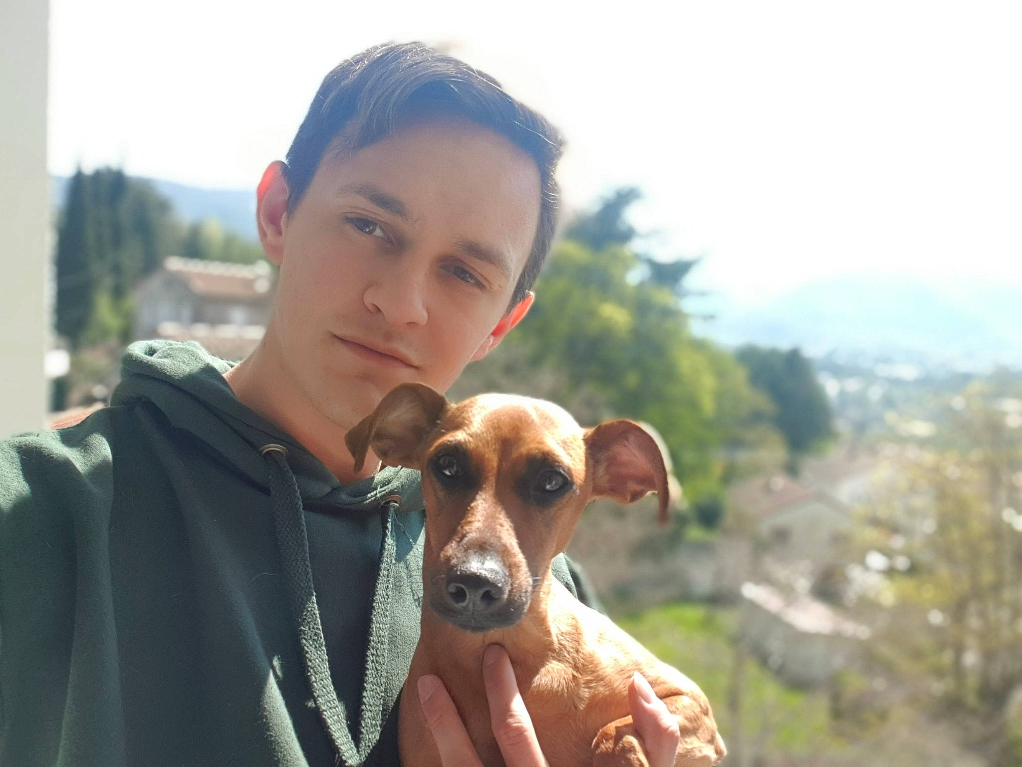 Ginger participe au concours pour gagner de l'argent avec cette photo : canidae, carnivore, companion_dog, dog, dog_breed, eyewear, fawn, fun, happy, leisure, selfie, sky, snout, sporting_group, sunglasses, t_shirt, travel, tree, vacation, working_animal