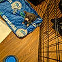 puppy, dog, blanket, blue, seahawks, playpen, metal, floor, wooden, water_bowl, pet, indoor, small, cute, animal, young, domestic, fur, ears, sitting