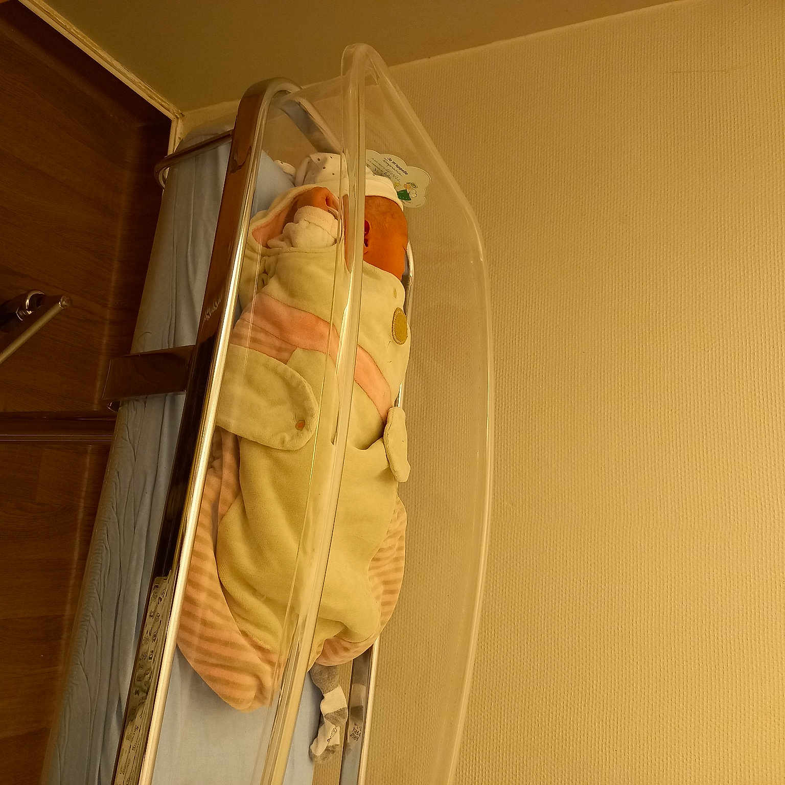 Tempérance a rejoint le concours — aidez-le/la à gagner de superbes lots ! ceiling, flooring, hardwood, light_fixture, peach, plaster, plywood, room, shadow, tints_and_shades, wood