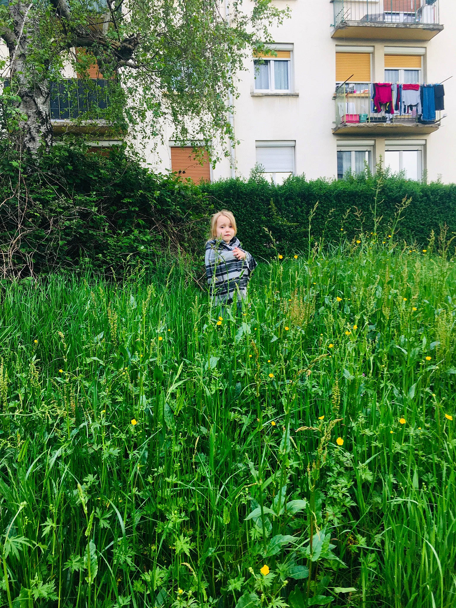 Luna participe au concours pour gagner de l'argent avec cette photo : agriculture, botany, building, flower, grass, grassland, green, groundcover, house, land_lot, leaf, meadow, people_in_nature, person, plant, rural_area, shrub, terrestrial_plant, tree, vegetation