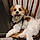 Charlie