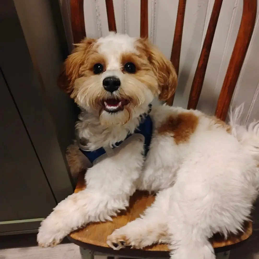 Charlie
