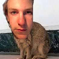 Bunny Bun Bun With A Man Bun