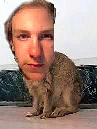 Bunny Bun Bun With A Man Bun