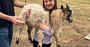 Harlee is registered to the contest to win money with this photo: child, goat, animal, outdoor, field, grass, tree, person, footwear, casual_clothing, smile, farm, nature, daytime, holding, pet, young, happy, rural, supporting
