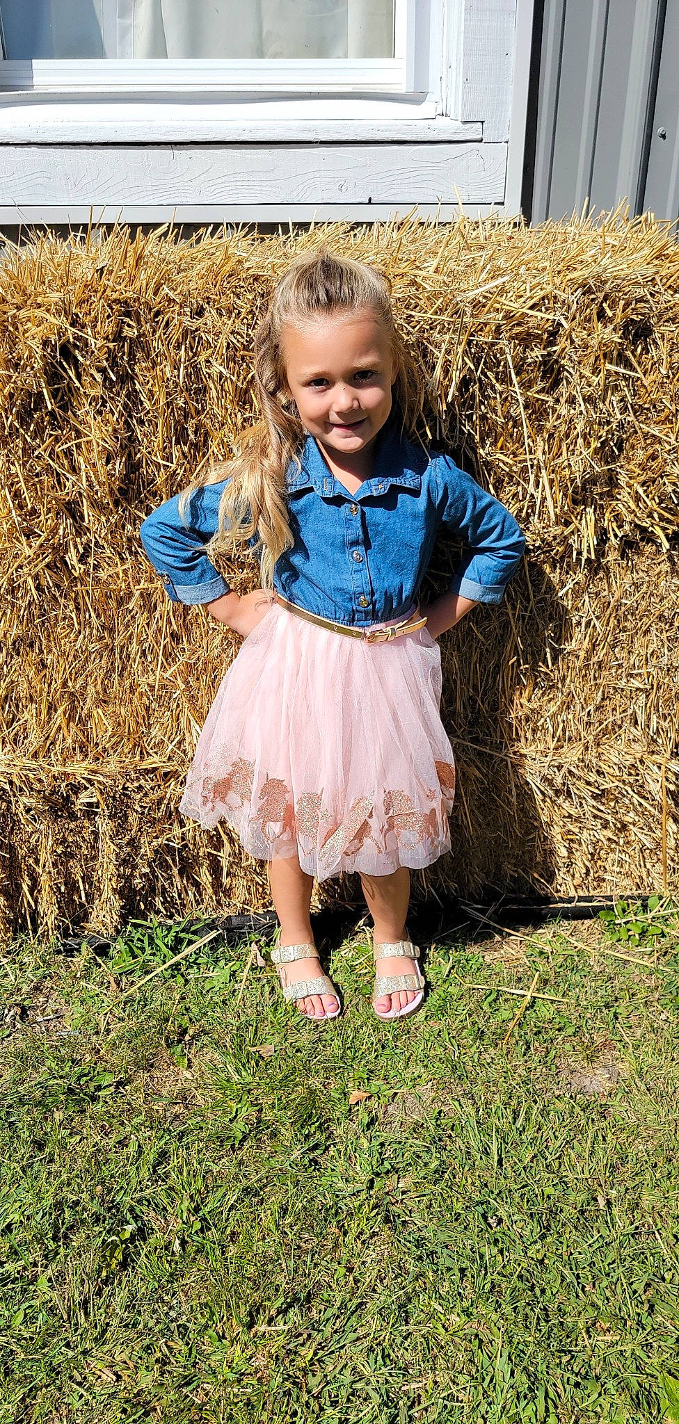 Harlee is registered to the contest to win money with this photo: baby_toddler_clothing, blond, child, dress, eye, grass, grassland, happy, human_leg, joy, lawn, leg, meadow, pattern, people_in_nature, person, plant, prairie, sleeve, smile