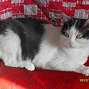 Beatricegarcia4695neuffr a rejoint le concours — aidez-le/la à gagner de superbes lots !