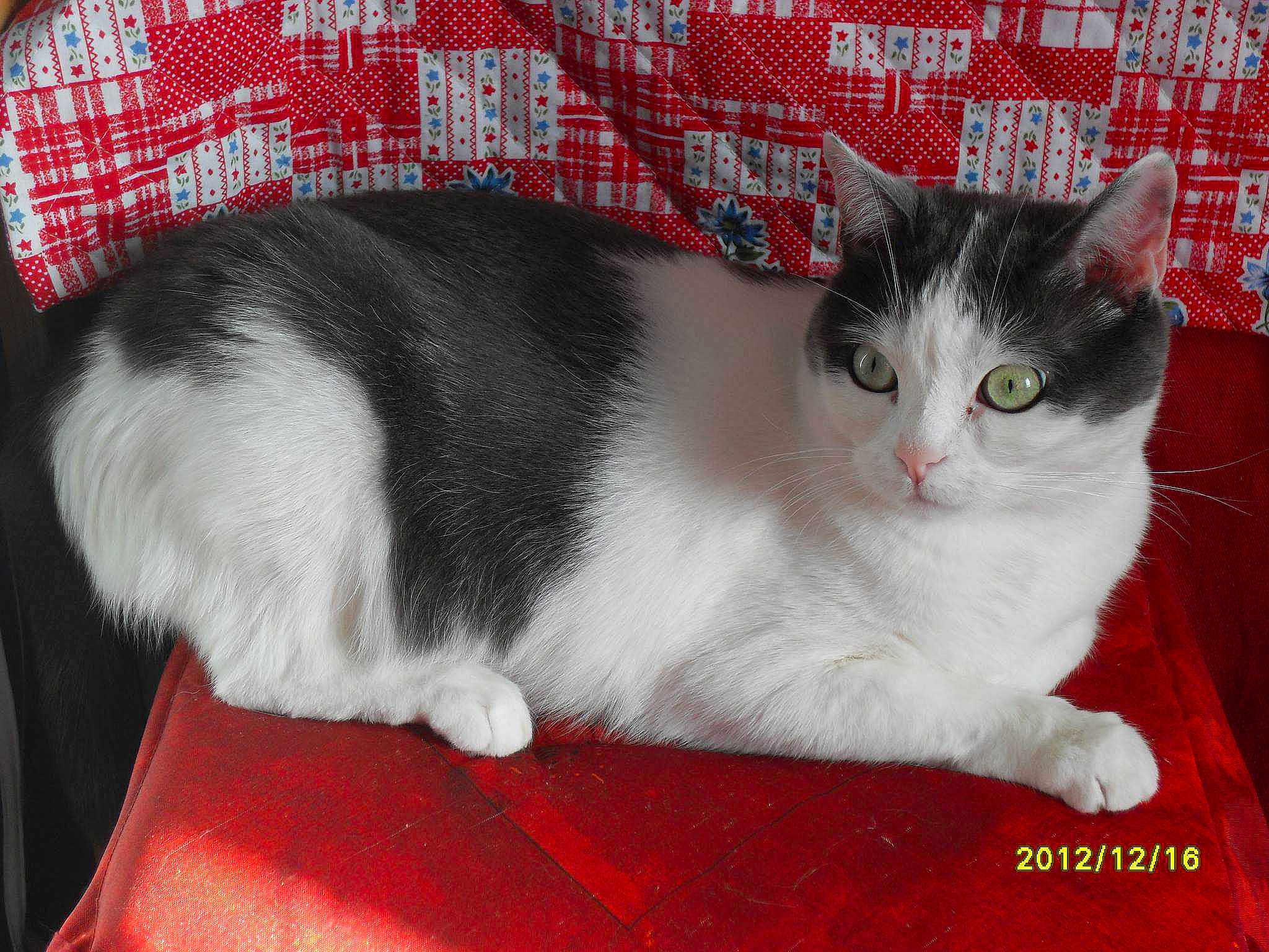 Beatricegarcia4695neuffr