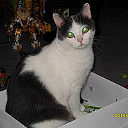 Beatricegarcia4695neuffr participe au concours pour gagner de l'argent avec cette photo :