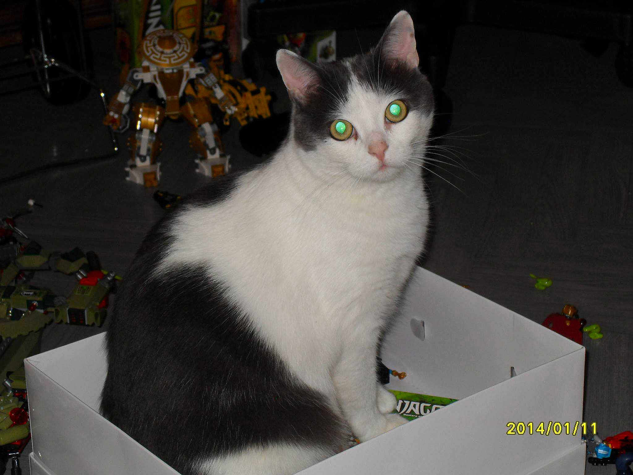 Beatricegarcia4695neuffr