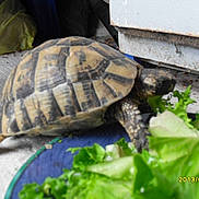 Beatricegarcia4695neuffr a rejoint le concours — aidez-le/la à gagner de superbes lots !