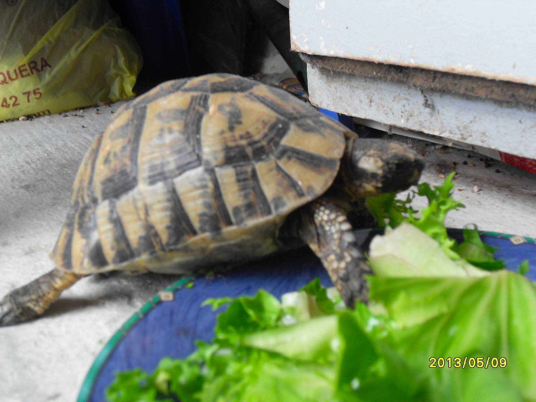 Beatricegarcia4695neuffr