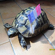 Beatricegarcia4695neuffr a rejoint le concours — aidez-le/la à gagner de superbes lots !