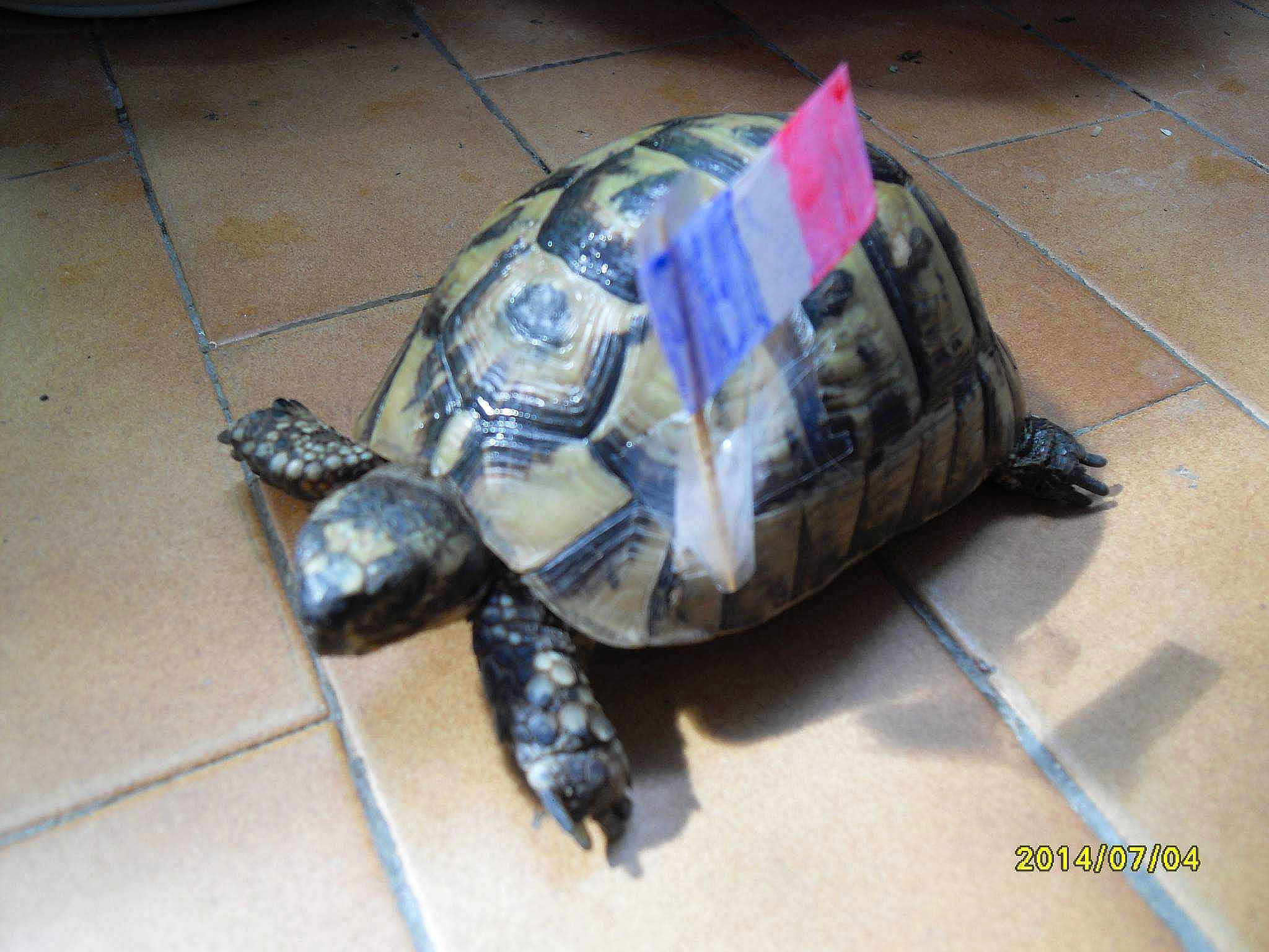 Beatricegarcia4695neuffr